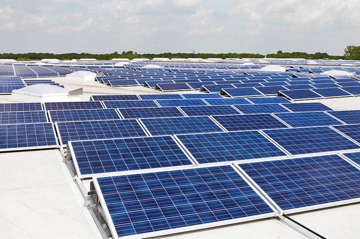 Rows of Solar Panels